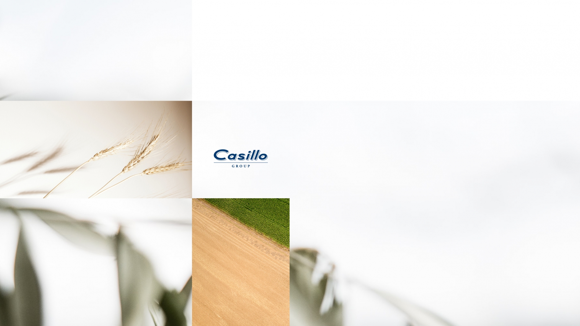 Casillo Group Annual Report